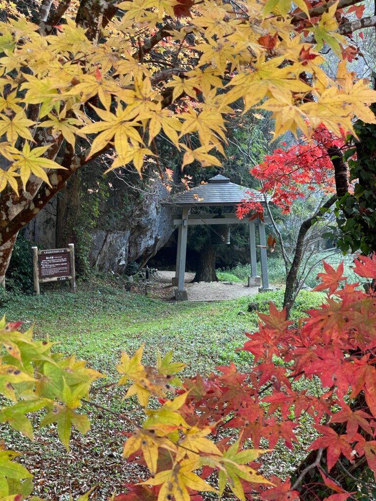 2023年11月14日現在の【神石高原町 紅葉情報！】 | 神石高原町 観光ナビ